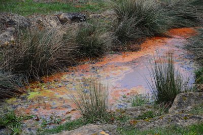 Une petite soif _4432040667_l.jpg